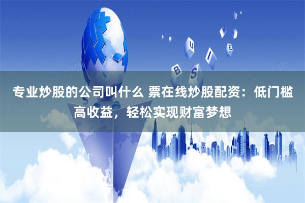 专业炒股的公司叫什么 票在线炒股配资：低门槛高收益，轻松实现财富梦想