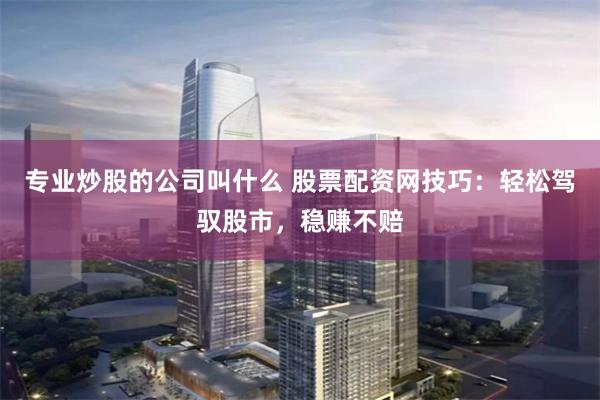 专业炒股的公司叫什么 股票配资网技巧：轻松驾驭股市，稳赚不赔