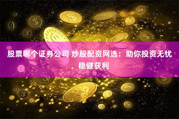 股票哪个证券公司 炒股配资网选：助你投资无忧，稳健获利