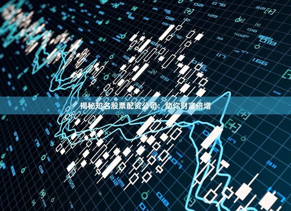 揭秘知名股票配资公司：助你财富倍增