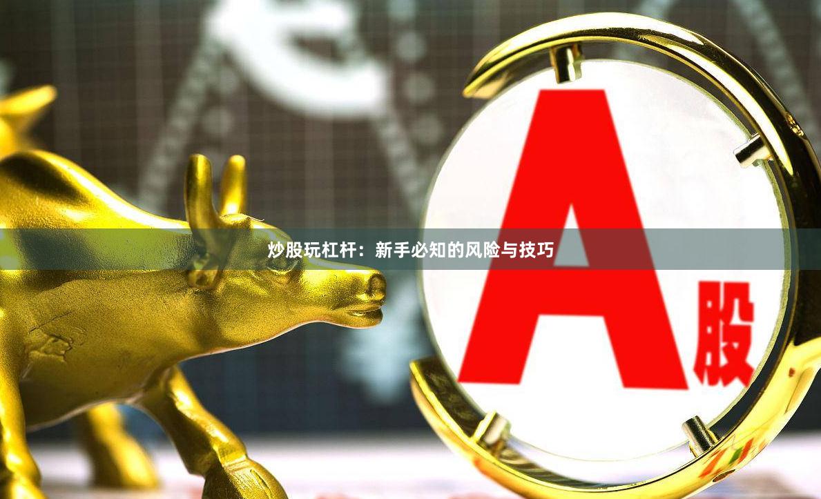 炒股玩杠杆：新手必知的风险与技巧