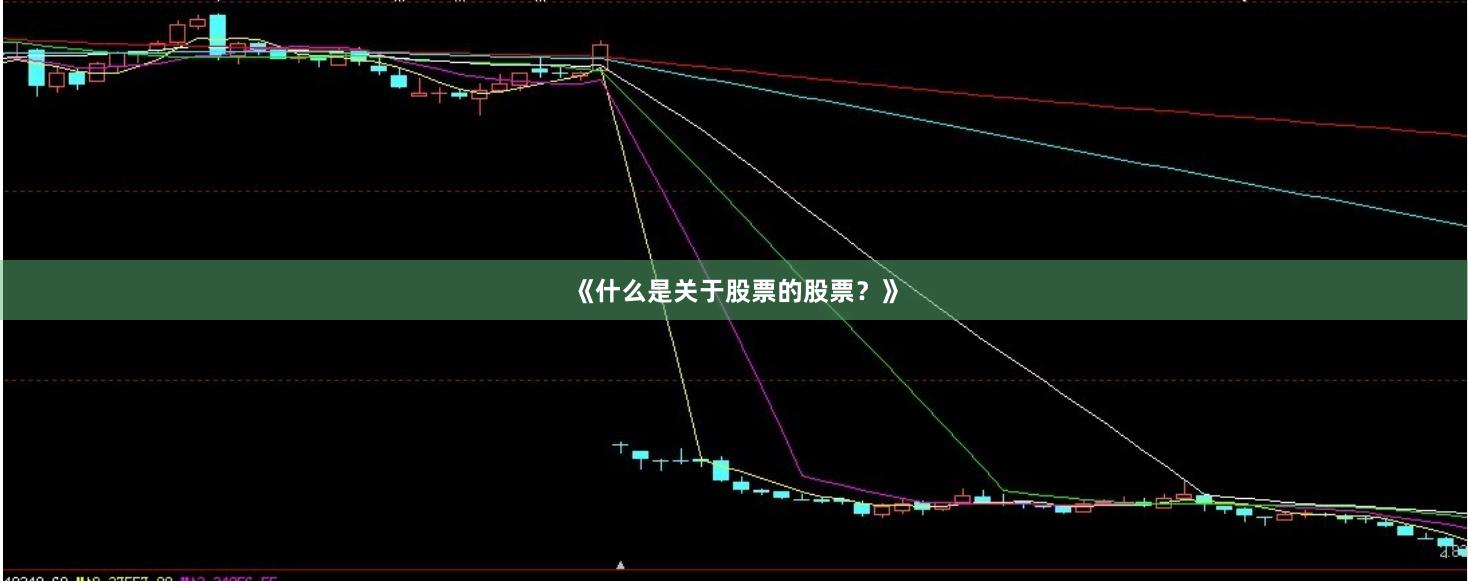 《什么是关于股票的股票？》